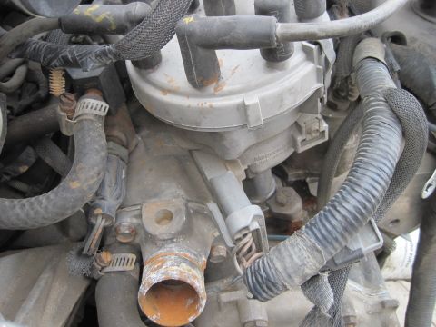 1989 Ford Bronco - Close-up view of an engine's distributor cap and associated hoses, showing signs of age and use.
