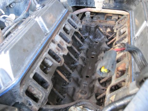 1989 Ford Bronco - Close-up view of an engine block with the intake manifold removed, revealing internal components.