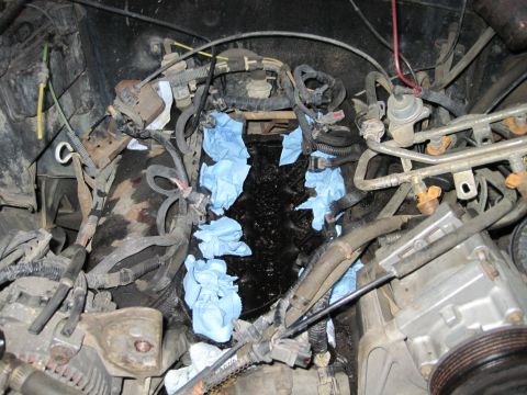 1989 Ford Bronco - Engine bay with blue shop towels placed to cover an opening during reassembly.