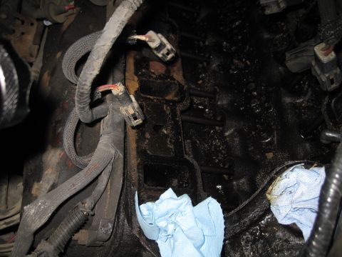 1989 Ford Bronco - Close-up view of engine components, showing wiring harnesses and oil residue.
