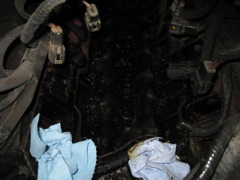 1989 Ford Bronco - Close-up view of an engine bay, showing wiring harnesses and two blue rags, likely during a reassembly process.