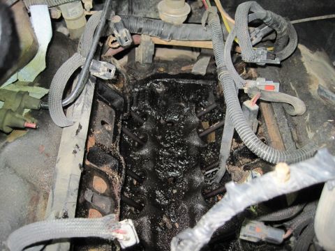 1989 Ford Bronco - Engine bay covered in heavy oil sludge, with visible wiring and connectors.