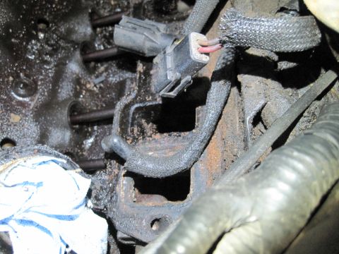 1989 Ford Bronco - A close-up view of engine components, including bolts and a wiring harness, with some white cloth in the foreground.
