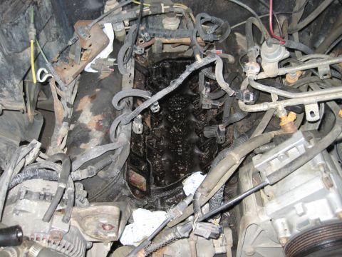 1989 Ford Bronco - The engine bay is covered in thick oil and grime, obscuring many of the internal components.