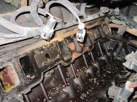 1989 Ford Bronco - Engine block and wiring harnesses, likely during a reassembly or repair process.