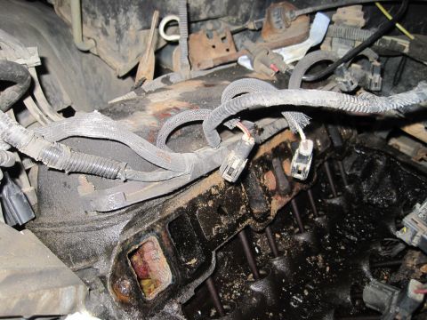 1989 Ford Bronco - The engine's intake manifold is covered in oil and grime, with several electrical connectors detached.