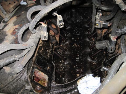 1989 Ford Bronco - Close-up view of an engine's intake manifold, showing oil accumulation and electrical connectors.