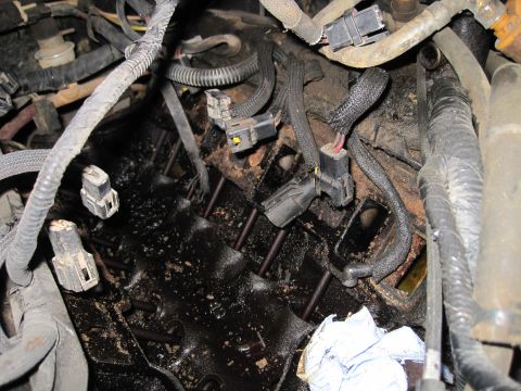 1989 Ford Bronco - Close-up view of an engine bay, showing exposed spark plug wells and associated wiring.