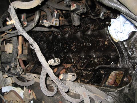 1989 Ford Bronco - Close-up of an engine bay with visible wiring and oily buildup on engine parts.