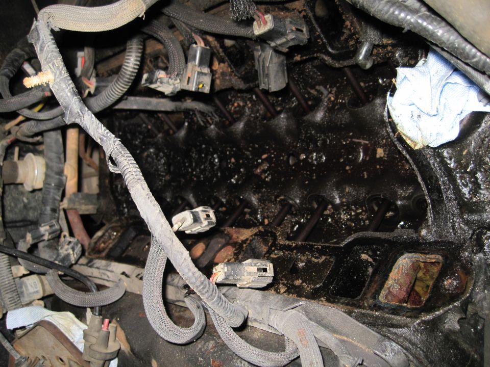 Engine bay showing wiring harnesses, connectors, and oily residue on engine components. A crumpled paper towel is visible