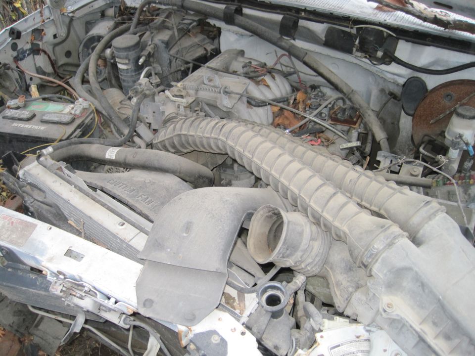 Engine bay with Interstate battery, hoses, and wiring.