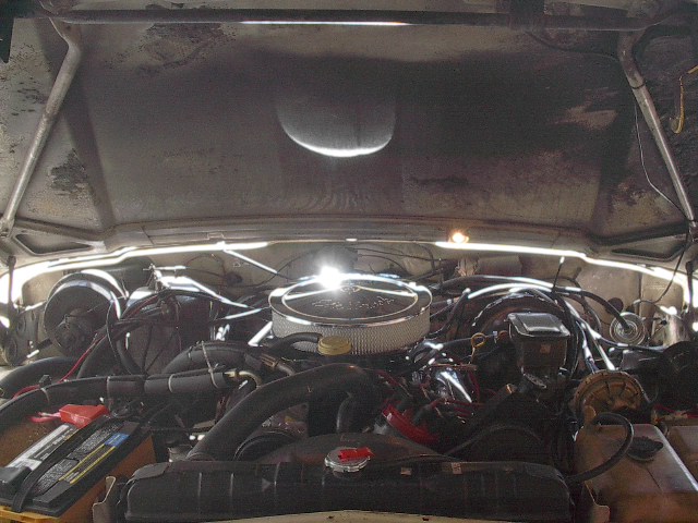 Engine bay with chrome air cleaner and various hoses and components visible