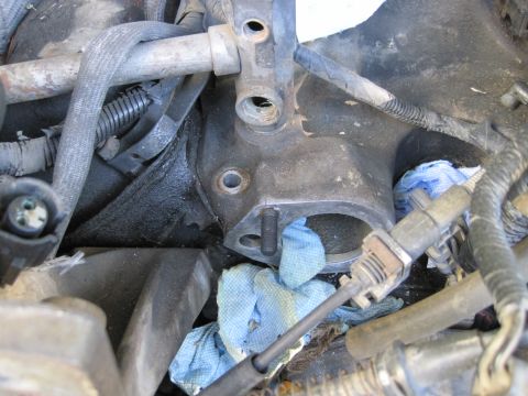 1989 Ford Bronco - A close-up view of an engine bay, showing various hoses, wiring, and metal components. Blue shop towels are placed around some of the engin…