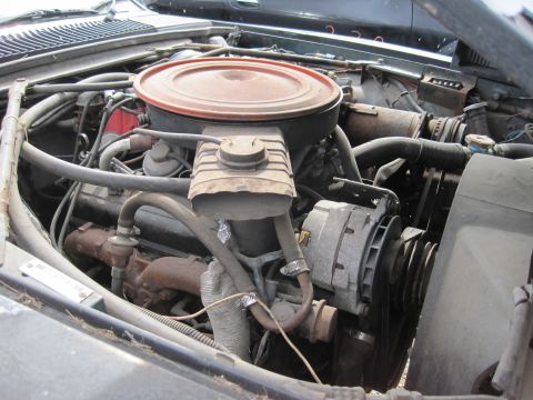 1985 Jaguar XJ6
