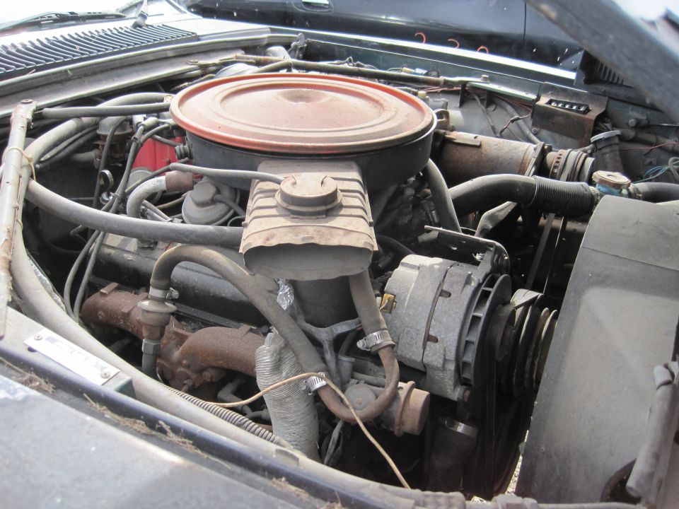 Close-up of a car engine bay with air cleaner, alternator, hoses, and belts.