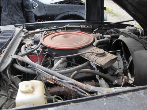 1985 Jaguar XJ6