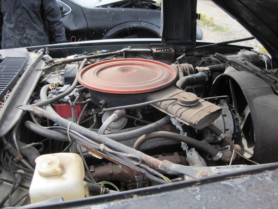 Engine bay of a classic car with hood open, showing air cleaner, radiator, fan, and hoses.