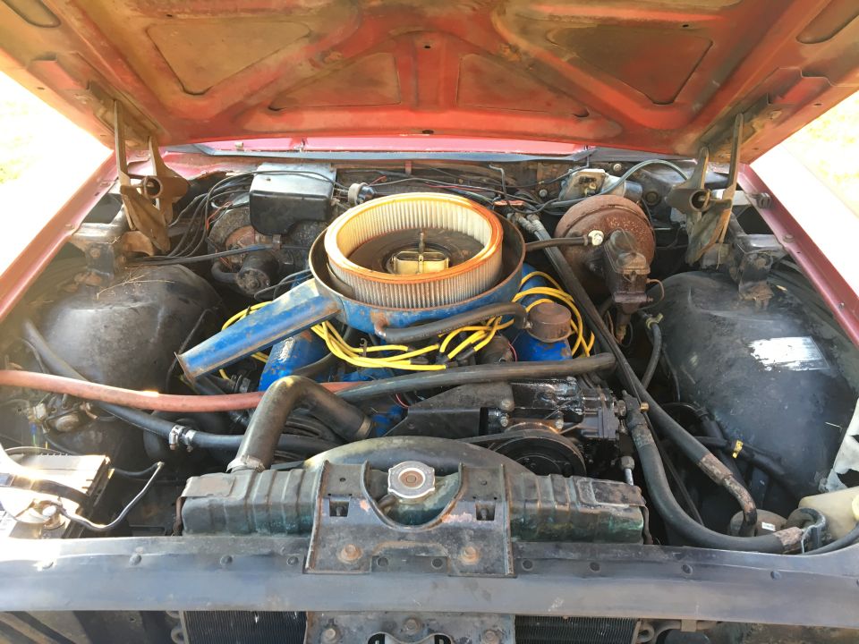 Close-up of a classic car engine bay with red hood open.