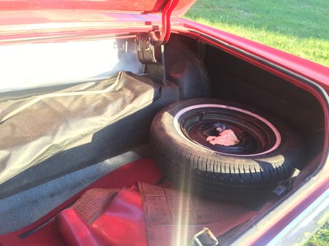 1967 Ford Galaxie