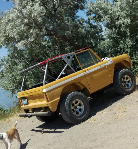 1971 Ford Bronco photo