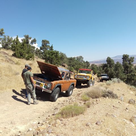 1971 Ford Bronco photo