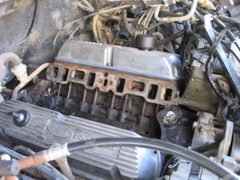 1989 Ford Bronco - Close-up of a Ford V8 engine, focusing on the intake manifold and valve covers.