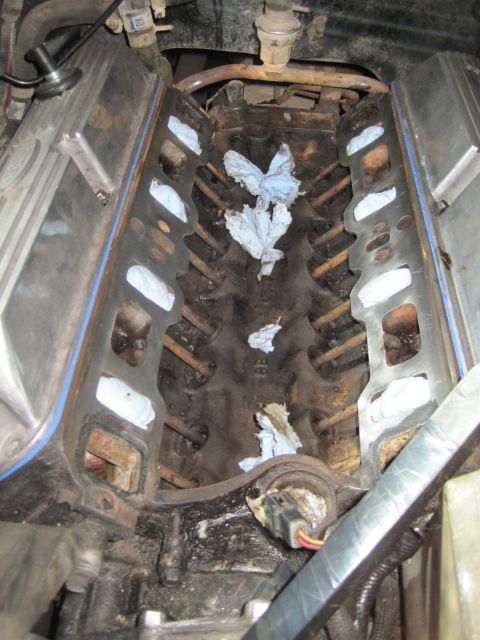 1989 Ford Bronco - Engine block with intake manifold removed, showing cylinder bores stuffed with rags.