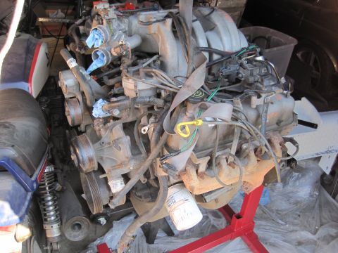 1989 Ford Bronco - Engine assembly on a red stand, with an oil filter and various hoses and wires connected.