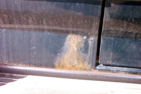 1995 Ford Bronco - Corrosion is visible on the lower section of the vehicle's side panel.