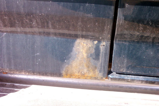 Close-up of rust forming on the lower part of a dark-colored vehicle door panel