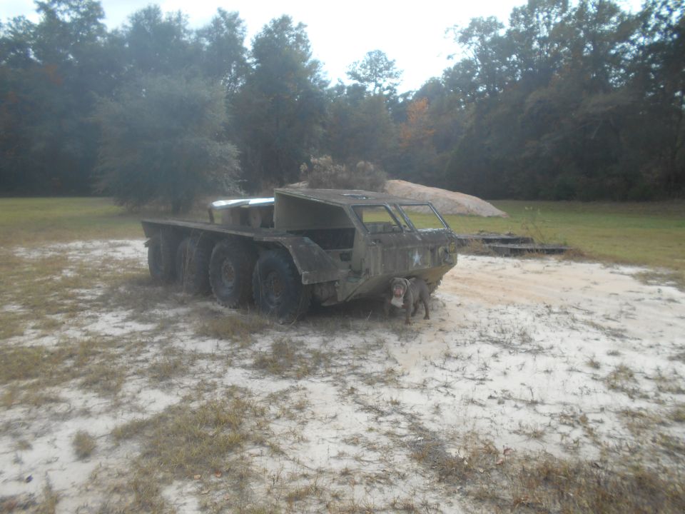 Six-wheeled military truck with a dog in front, 3q-front view