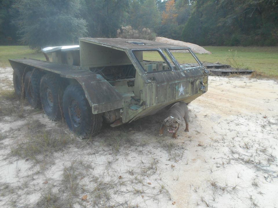 Military truck with six wheels and a bulldog standing underneath. Truck is green and weathered