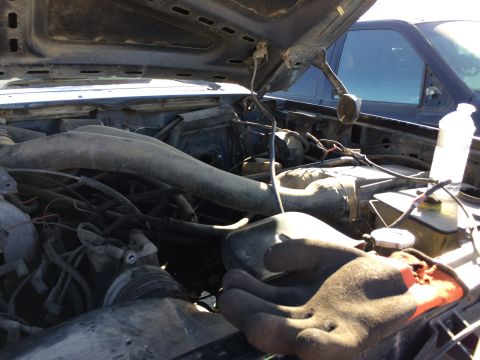 1985 Jaguar XJ6