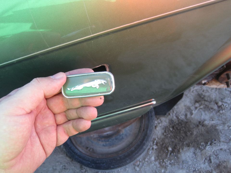 Hand holding Jaguar emblem against a green car door. Wheel and ground visible