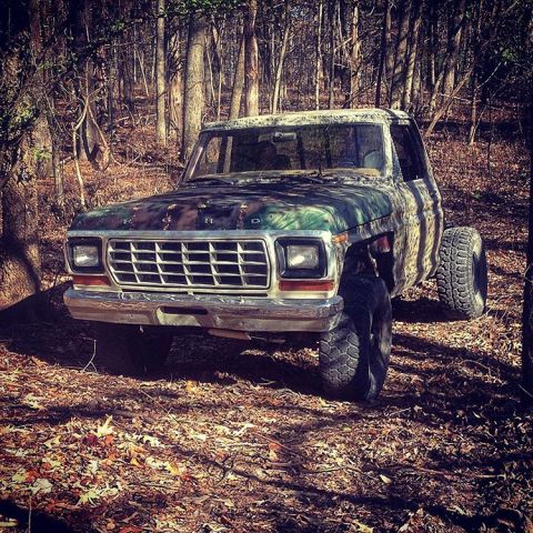 1979 Ford F-150 photo