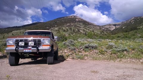 1979 Ford F-150 photo