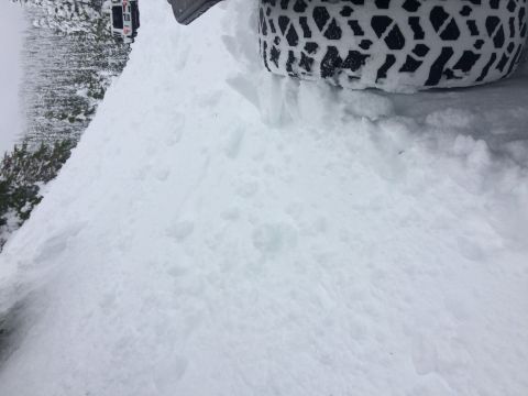 1995 Jeep Wrangler - A Jeep Wrangler is parked in deep snow, with another vehicle visible in the distance.