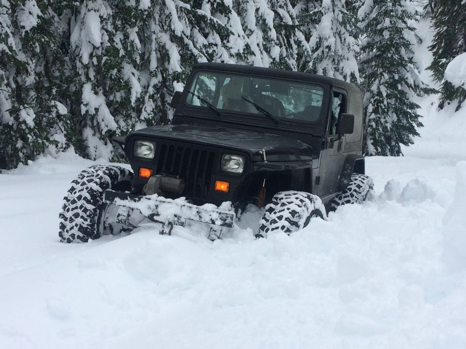 Black 1995 Jeep Wrangler stuck in deep snow with snow-covered trees in background