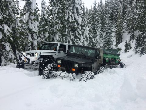 1995 Jeep Wrangler - Multiple Jeeps navigate a snowy forest trail during a winter excursion.