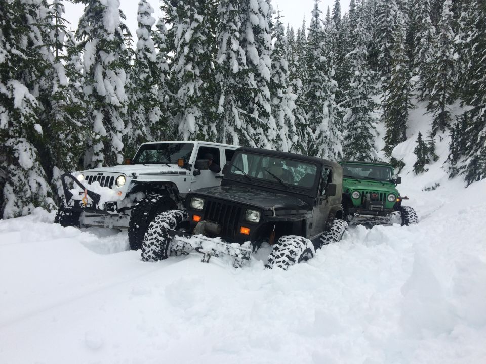 Three Jeeps driving through deep snow on a wooded trail. The lead Jeep is black, followed by a white one, and a green one in the back