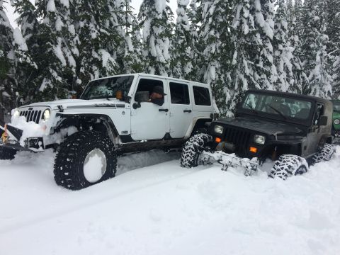 1995 Jeep Wrangler - Two Jeeps are stuck in the snow, surrounded by snow-covered trees.