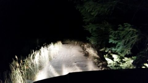 1981 Ford Bronco - Driving on a dirt road at night with headlights illuminating the path ahead.