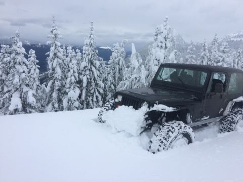 1995 Jeep Wrangler - A black 1995 Jeep YJ navigates deep snow on a mountain trail, surrounded by snow-laden evergreen trees.