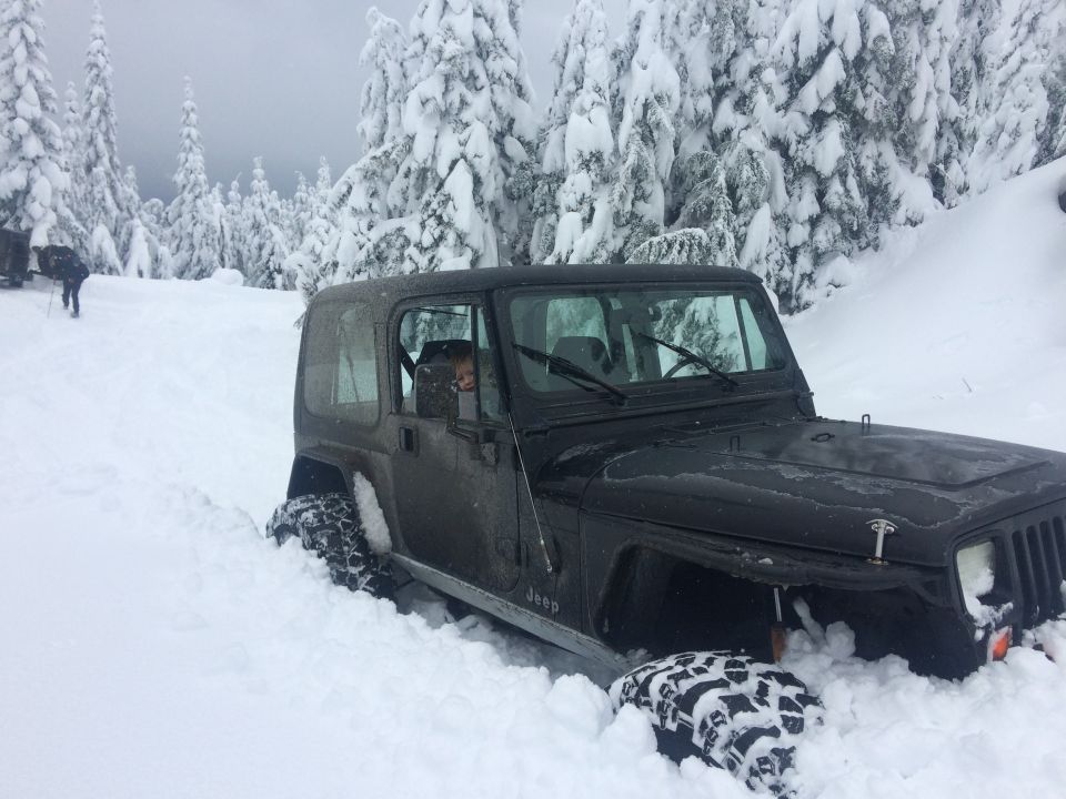 Black Jeep Wrangler stuck in deep snow, trees covered in snow in background. Someone is in the driver's seat