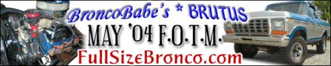 1989 Ford Bronco photo