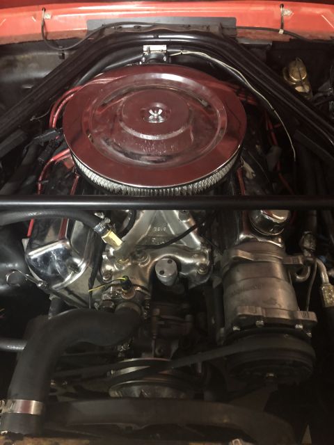 1965 Ford Mustang - A close-up, overhead view of a classic car engine, featuring a chrome air cleaner assembly over the carburetor and various hoses and belts.