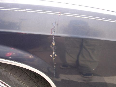 1984 Mercury Grand Marquis photo
