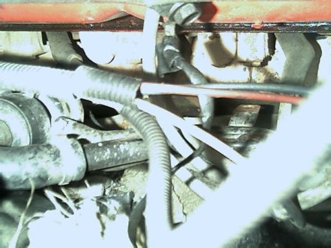 1989 Ford Bronco - Close-up view of engine components, including hoses and wiring, in an engine bay.