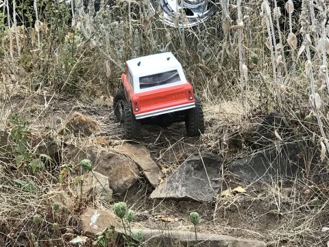 1989 Ford Bronco - Toy RC truck navigating a rocky, overgrown path.