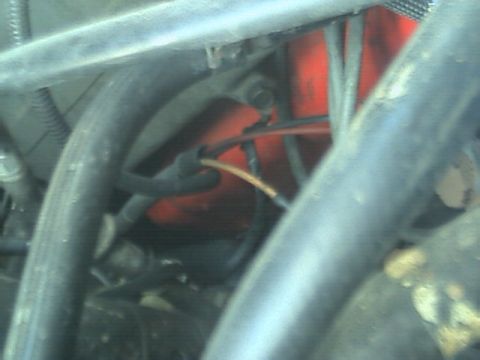 1989 Ford Bronco - Close-up view of engine bay components, including hoses and wiring against a red background.
